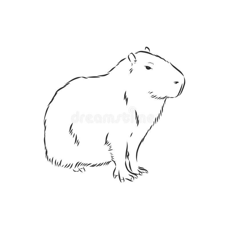 Cute Capybara Clipart in Black and White