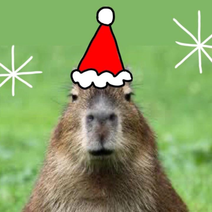 Cute Capybara Wearing a Christmas Hat