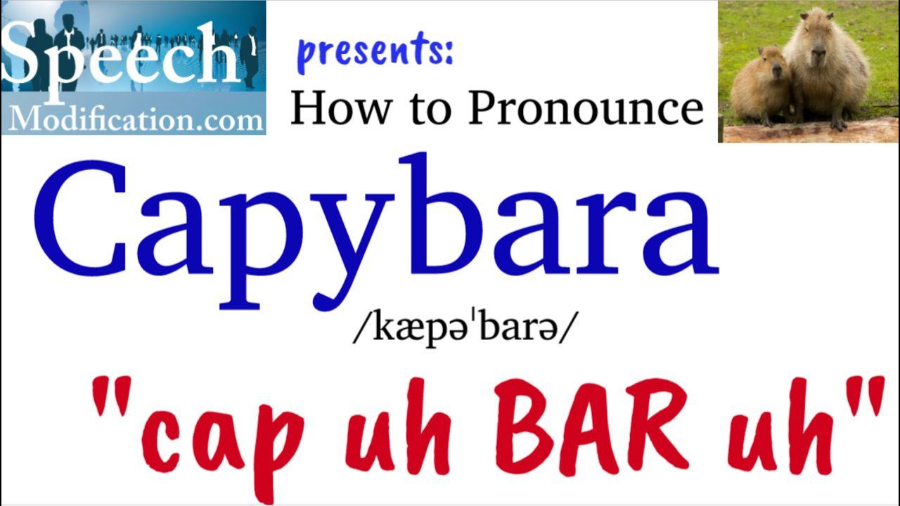 How to Say Capybara in English