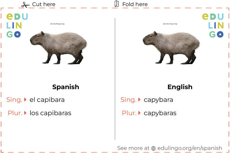 How to Say Capybara in Spanish