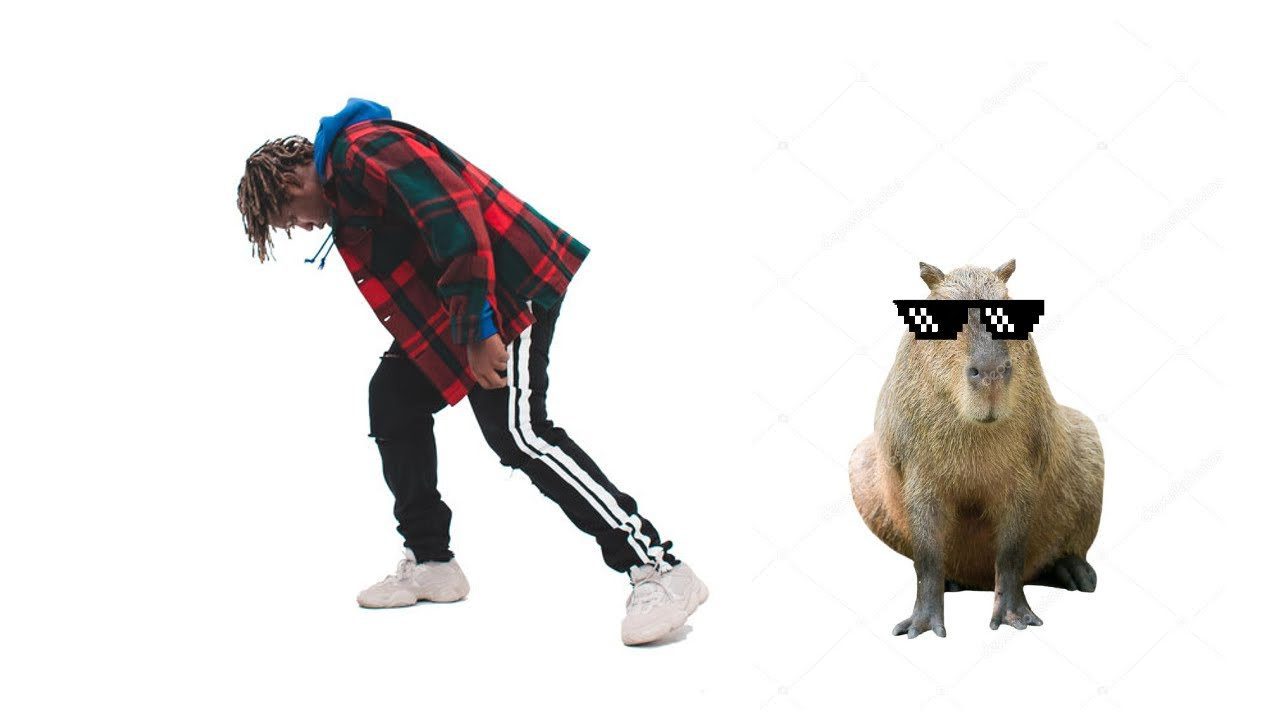 I Pull Up Capybara on a Leash