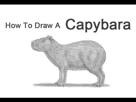 Step-by-Step Guide: Making Your Own Capybara