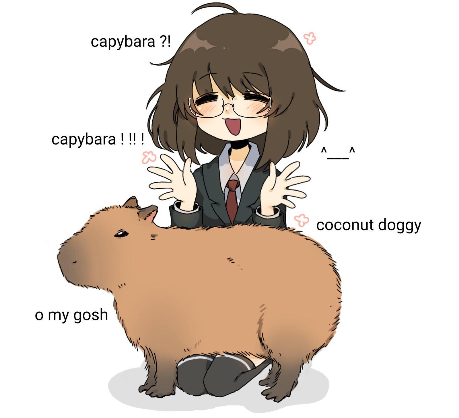 The origins of the capybara meme