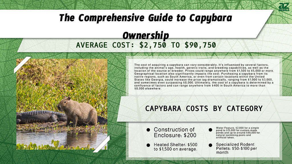 Understanding the Cost of a Capybara